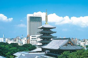 日本ビューホテル(6097)　株主優待・配当　利回り　2017年10月期